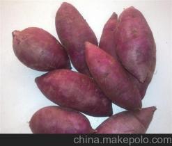 大理州紫薯種植基地銷(xiāo)售廠家價(jià)格供應(yīng)商詳解——冠縣樂(lè)農(nóng)紫薯種植專(zhuān)業(yè)合作社