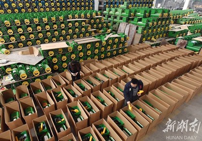 備戰(zhàn)雙十一，薯類(lèi)產(chǎn)品銷(xiāo)售攻略